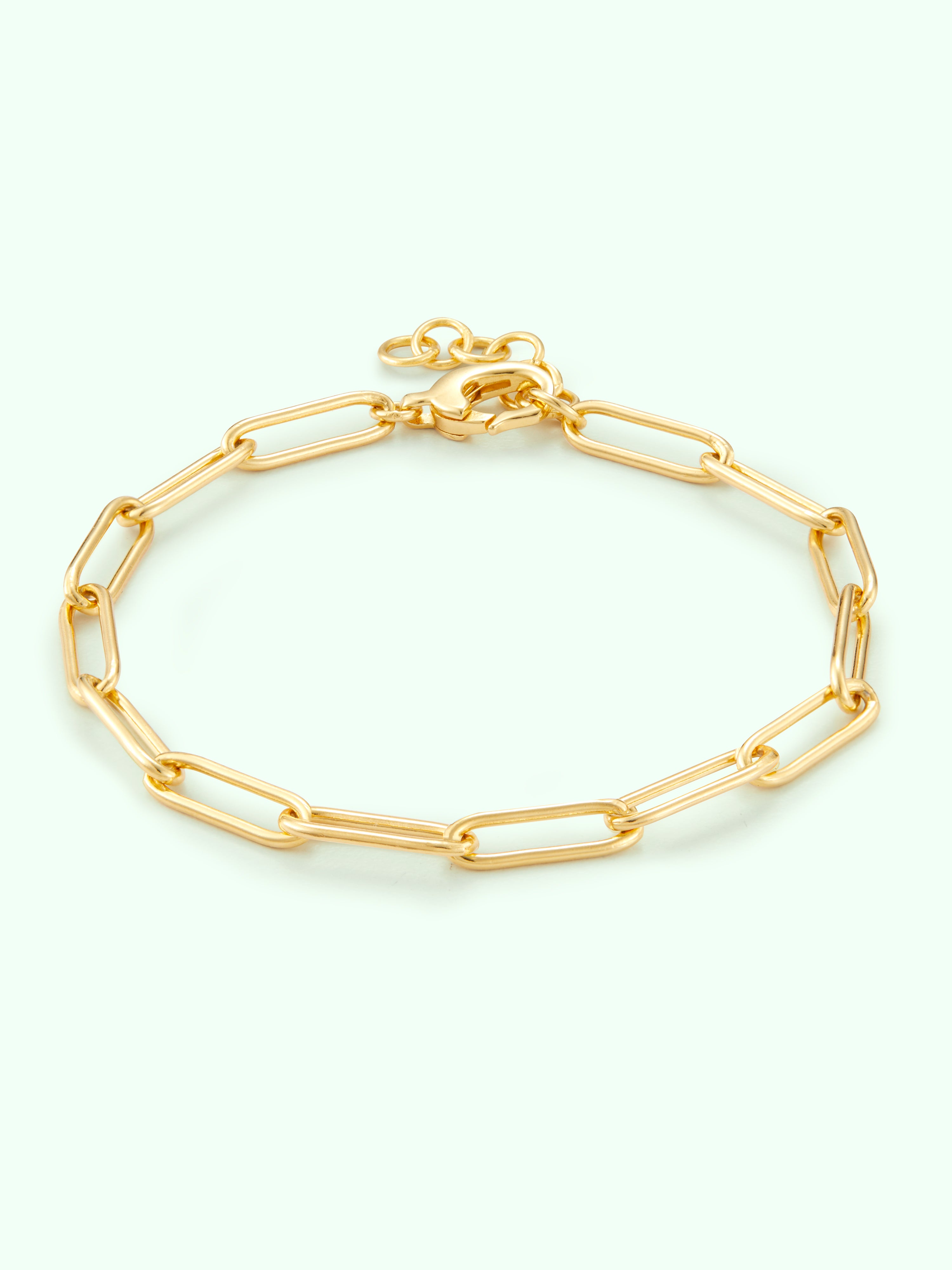 Paperclip Bracelet